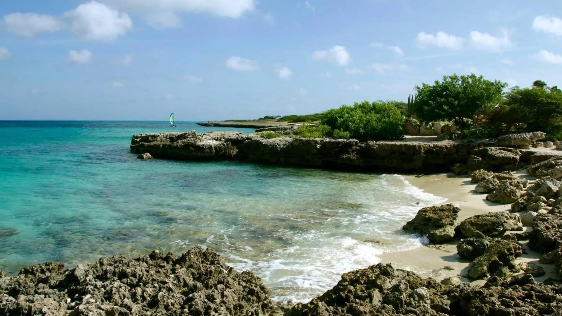 Oj88 - Private Villa With Pool - 5 Min From Palm Beach - 4Br House 0*,  Aruba